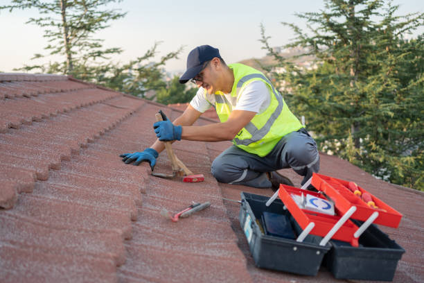 Best Roof Leak Repair  in Greenfield, IL